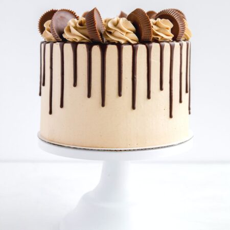 chocolate peanut butter cake featured image