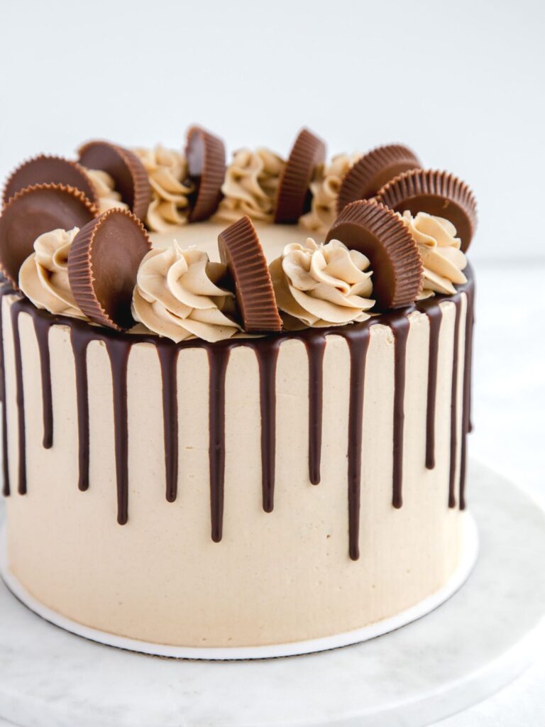 chocolate peanut butter cake side view