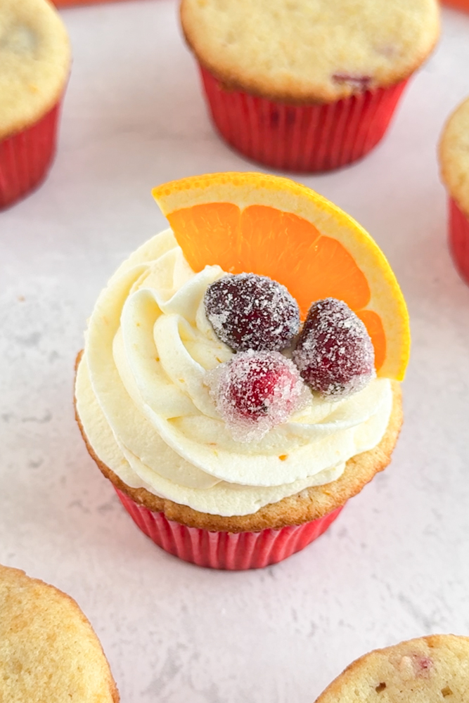 Cranberry cupcakes decorated with sugared cranberries and orange slice.
