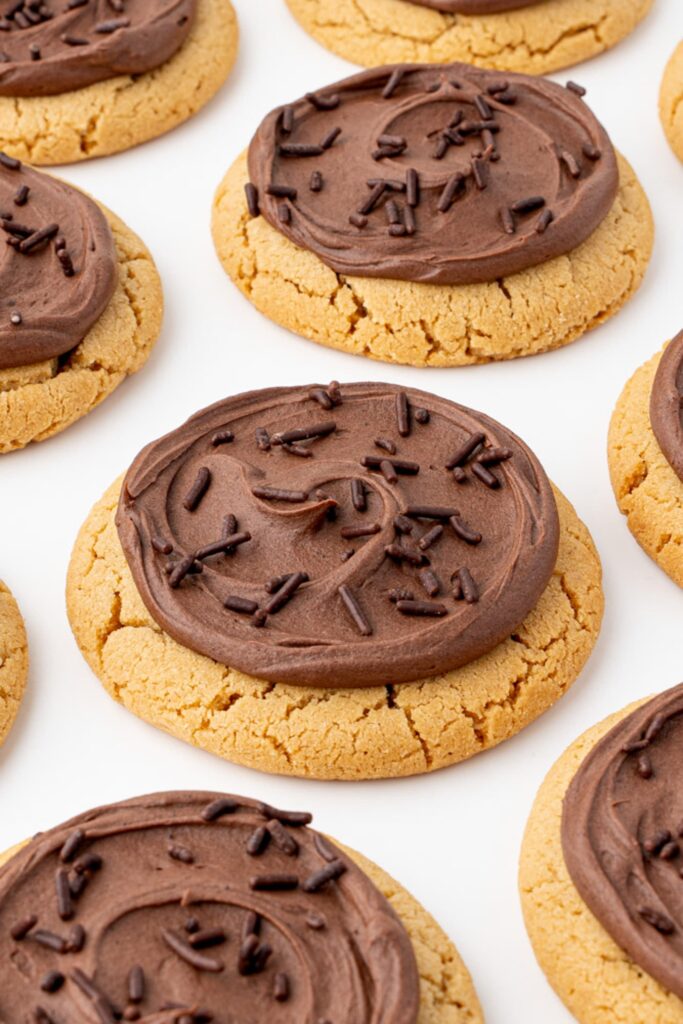 Peanut butter cookies with chocolate buttercream and chocolate sprinkles.