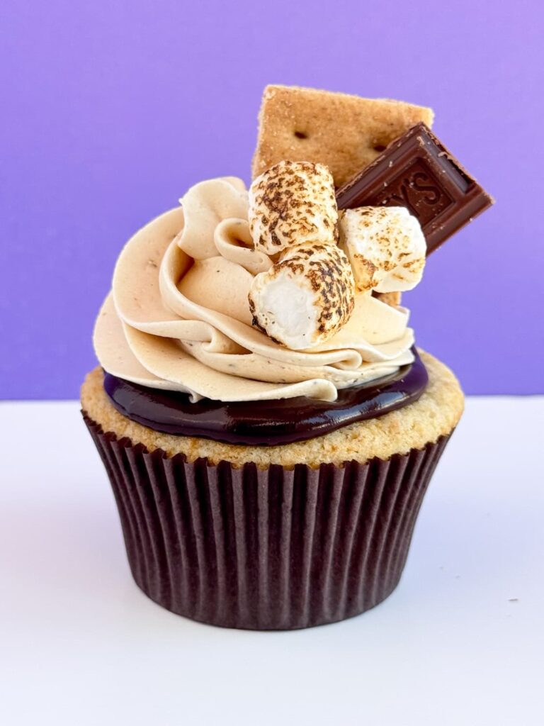 Decorated cupcake with chocolate ganache, toasted marshmallow buttercream, graham crackers, chocolate bar, and toasted mini marshmallows.