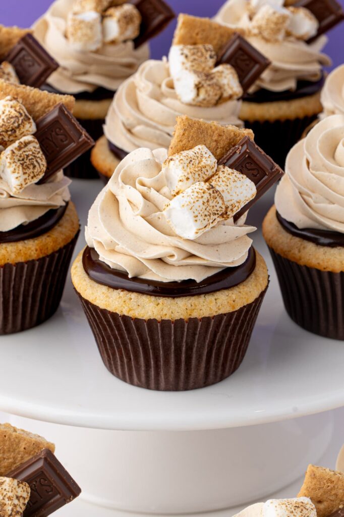 Graham cracker cupcakes with chocolate ganache, marshmallow frosting, and s'mores components on a white cake stand.
