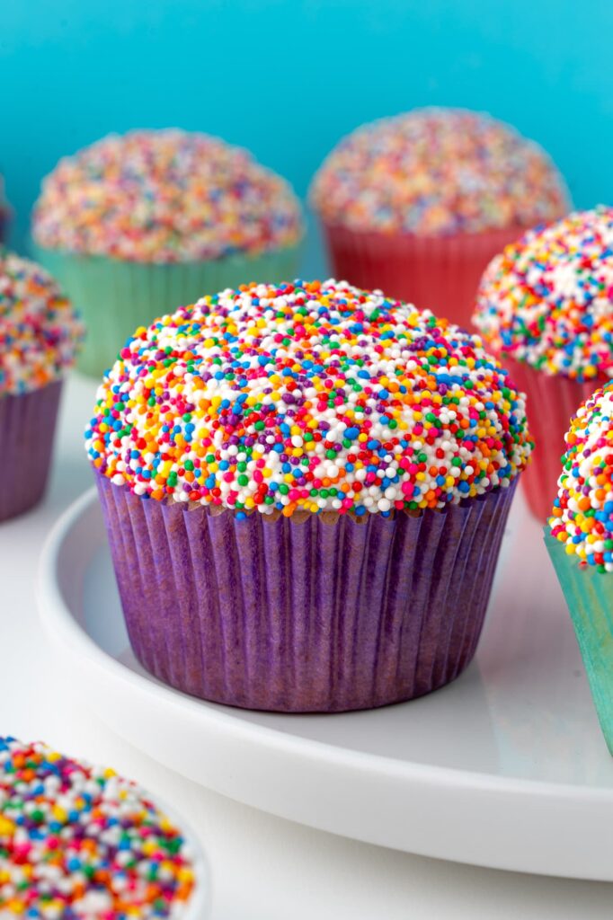 Vanilla cupcakes with vanilla frosting and rainbow sprinkles.