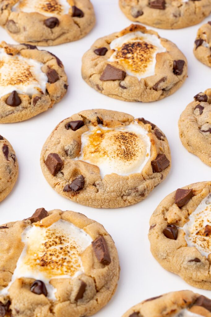 Peanut butter cookies with graham crackers, chocolate, and a marshmallow center.