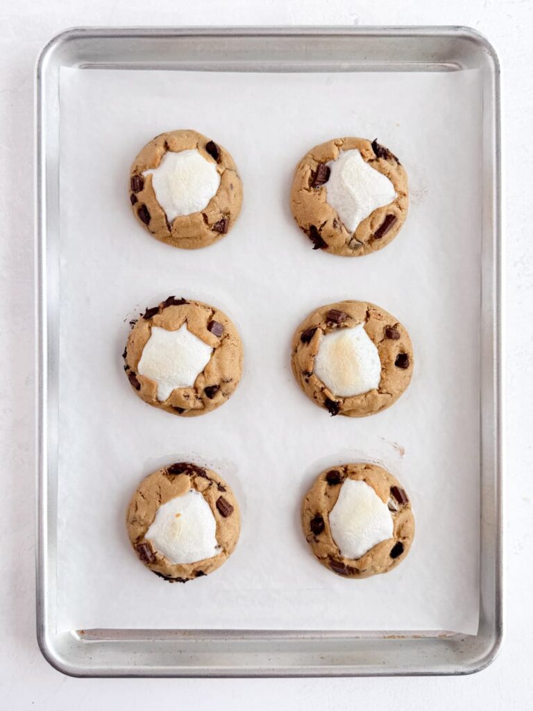 Baked cookies on a baking sheet pan.