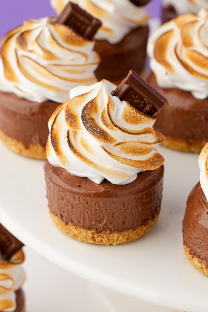 Mini chocolate cheesecakes with toasted marshmallow fluff.